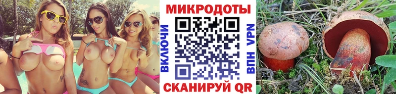 Псилоцибиновые грибы Psilocybe  Купить  Разумное 